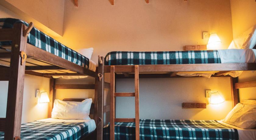 صورة سرير واحد في مهجع لأربعة أشخاص (مختلط) (1 Person in 4-Bed Dormitory - Mixed) 1