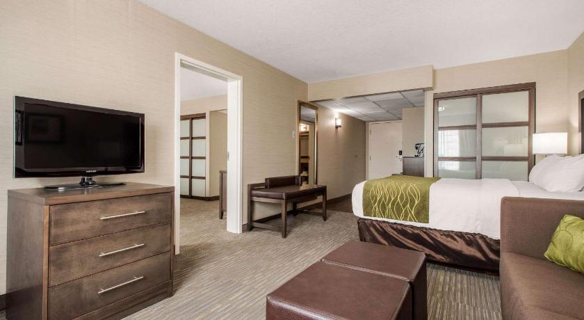 Comfort Inn and Suites Red Deer