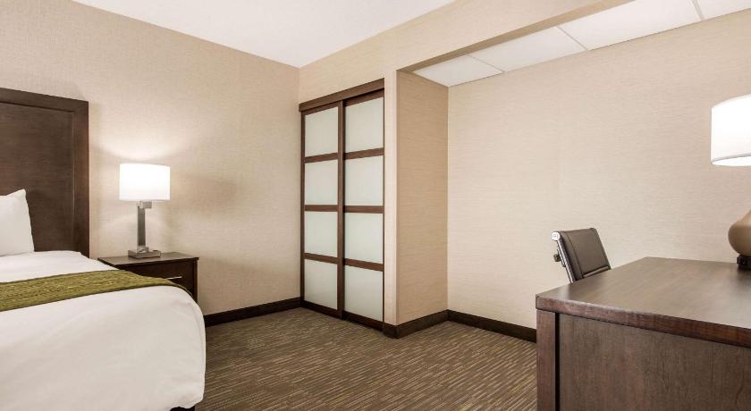 Comfort Inn and Suites Red Deer