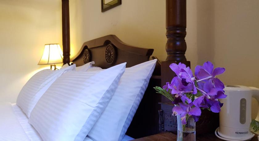 Betel Nut Lodge Prices Photos Reviews Address Malaysia - 