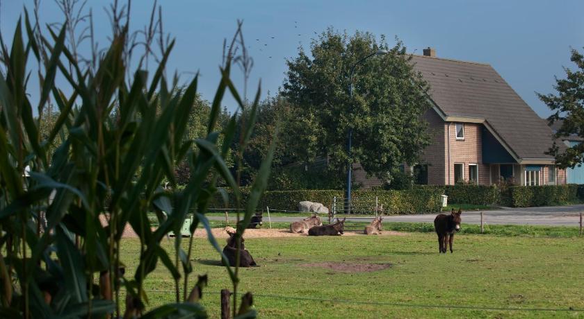 a person standing in a field with a horse, Bed & Breakfast 'Op 7' in Hooghalen
