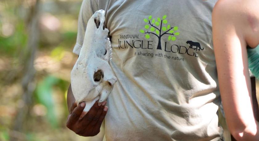 PANTANAL JUNGLE LODGE photo