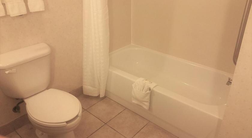 Comfort Suites Independence - Kansas City photo