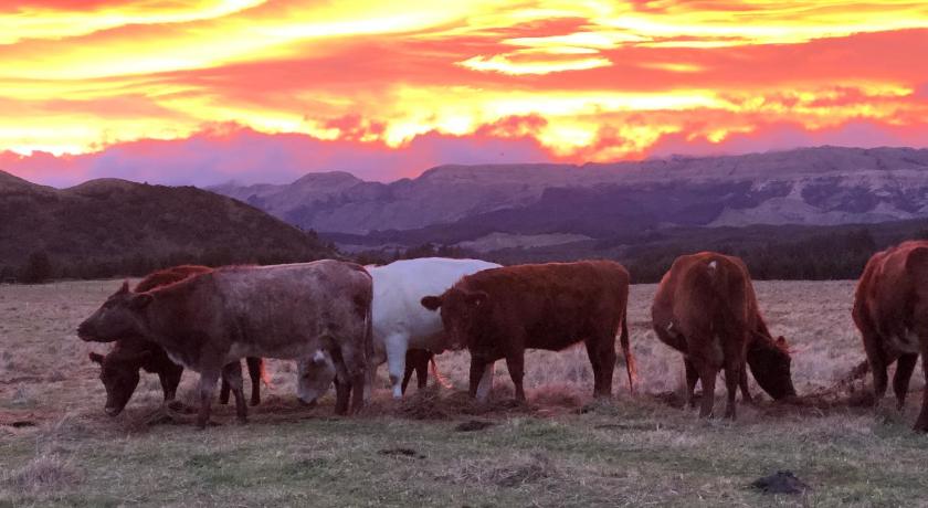 Mohaka River Farm — Hotel in Eskdale