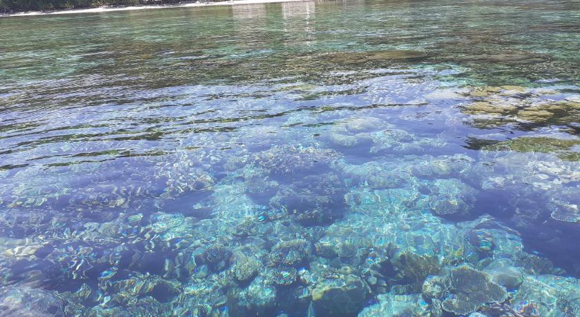 Best Rajaampat Homestay photo