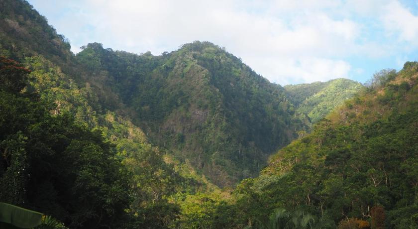 Fare noanoa photo