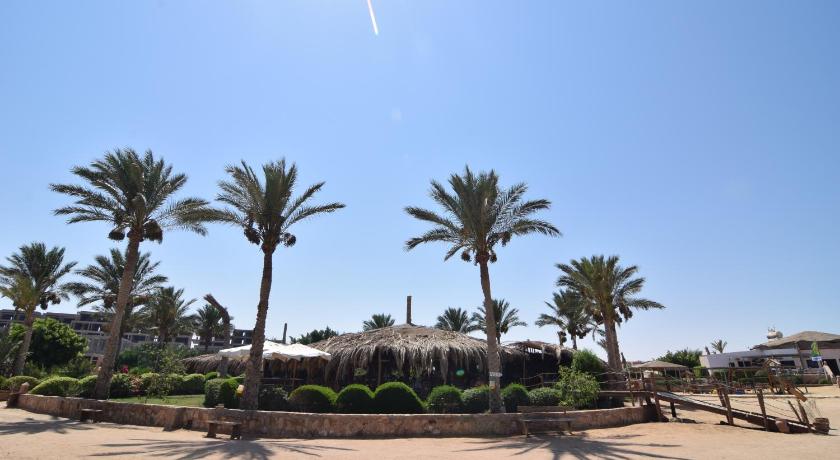 a beach with palm trees and palm trees, Sharm El Naga Resort and Diving Center in Hurghada