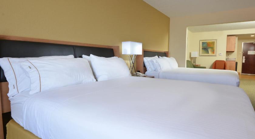 Holiday Inn Express Hotel & Suites High Point South