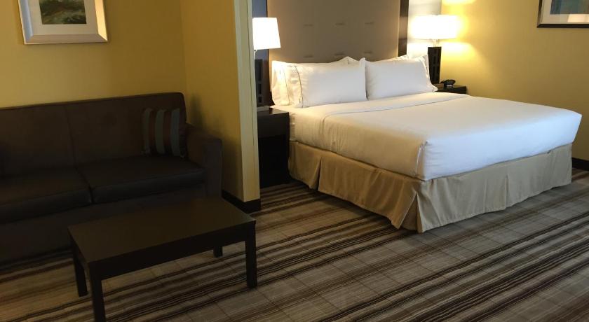 Holiday Inn Express Arlington Heights