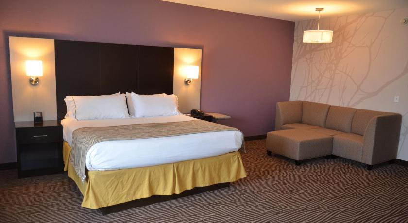 Holiday Inn Express & Suites Cheektowaga North East