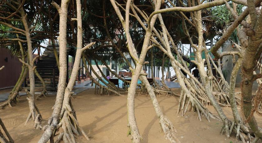 Saprin Beach Resort photo