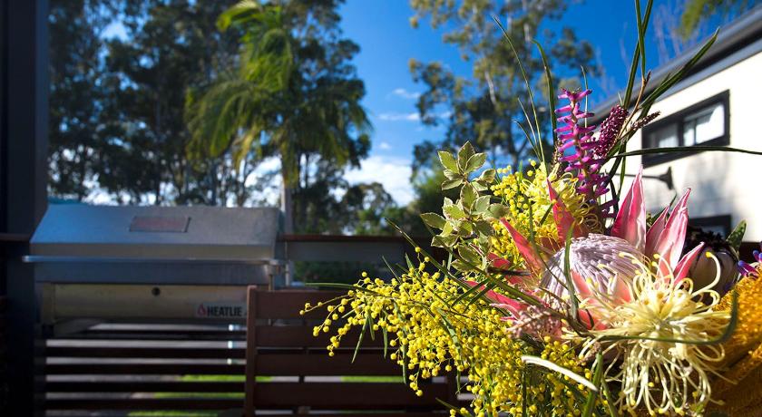 Mollymook Caravan Park In Australia Room Deals Photos Reviews