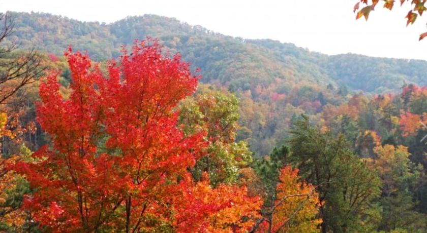 Treetops — Hotel in Wears Valley (TN)