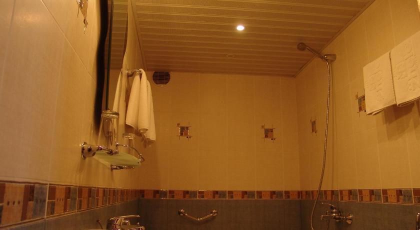 Hotel Zheleznik photo