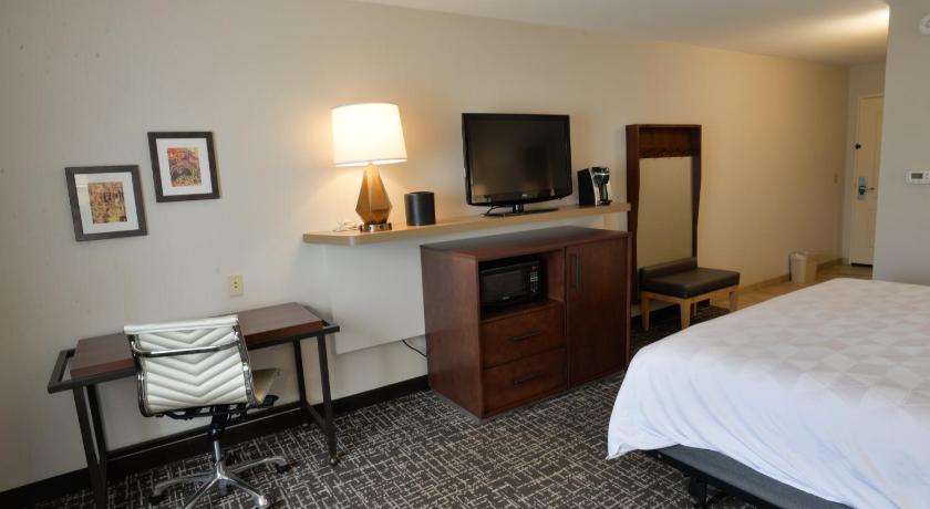 Holiday Inn Hotel & Suites Minneapolis-Lakeville