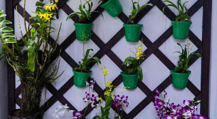 Can Tho Orchid Garden Homestay - image 18