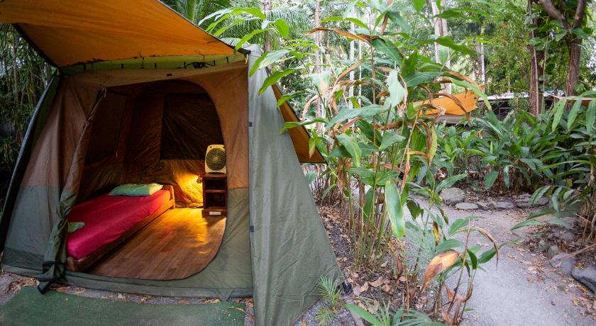 Dougies Backpackers Resort photo