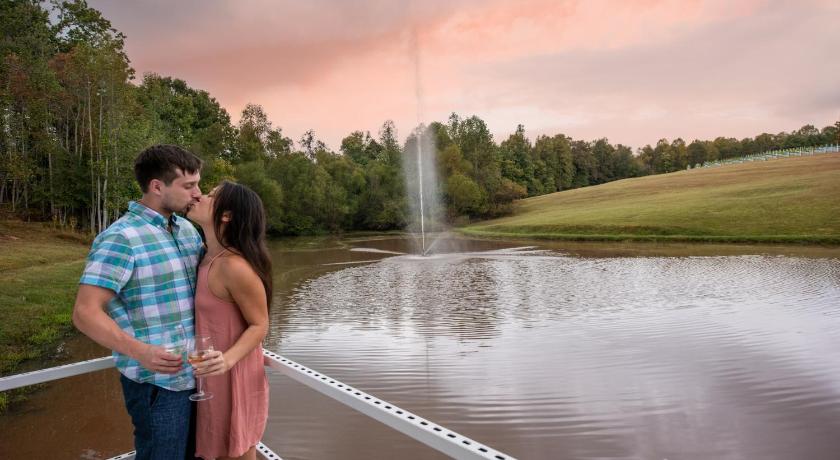 Dahlonega Resort and Vineyard photo