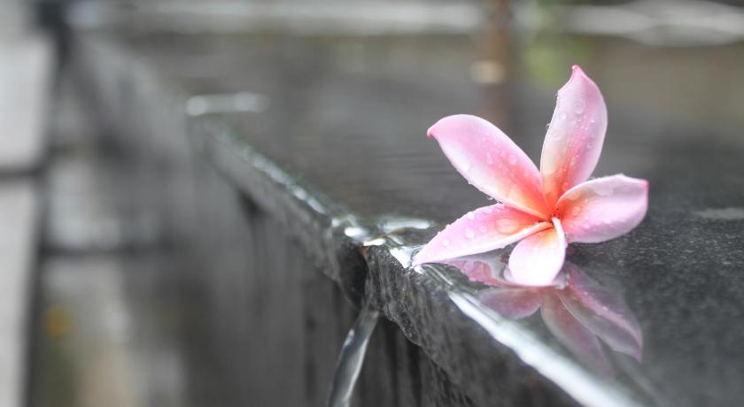 Morning Bali Bungalow photo