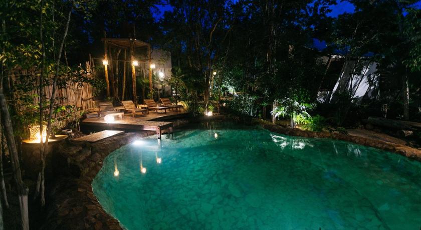 Nahouse Jungle Lodges photo