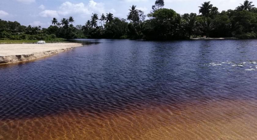 Marari Lotus Beach Villa photo