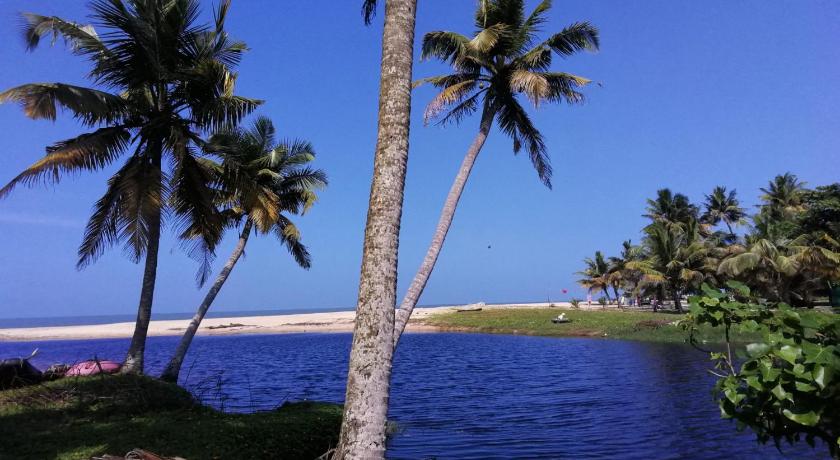Marari Lotus Beach Villa photo