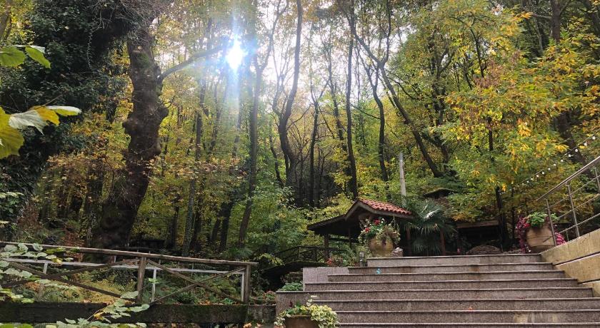 Hotel Saint Nedelya photo