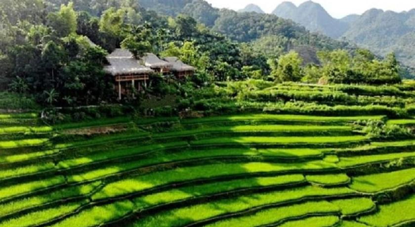 Resort Pu luông Boutique Garden - image 39