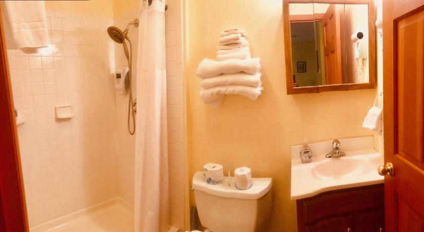 Driftwood Inn photo