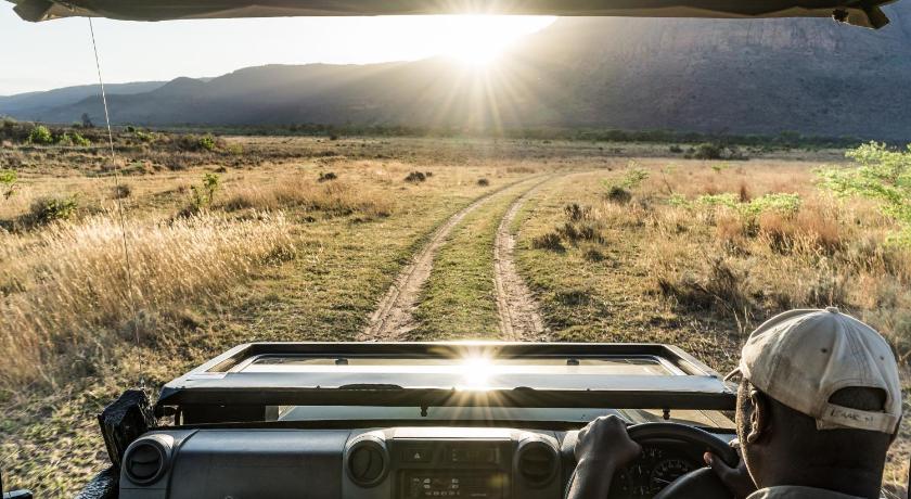 Entabeni Safari Conservancy photo