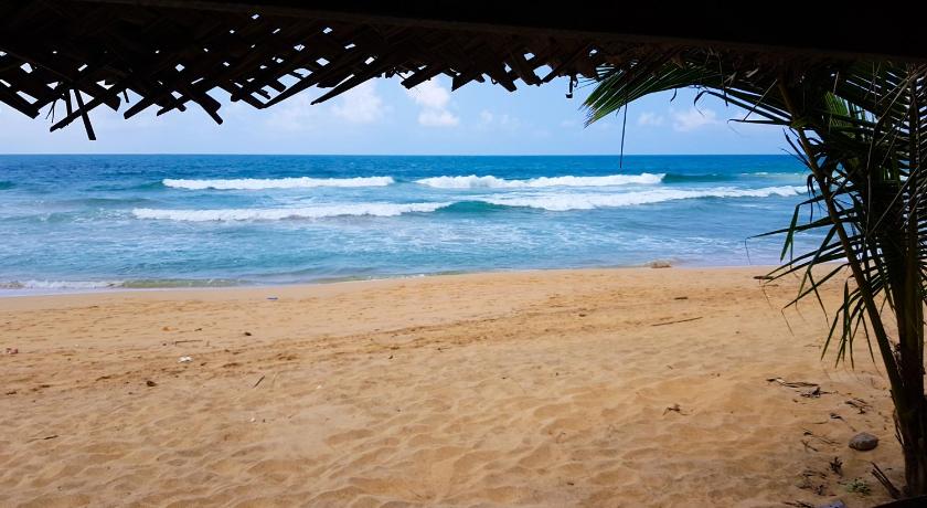 Hikkaduwa backyard beach homestay photo