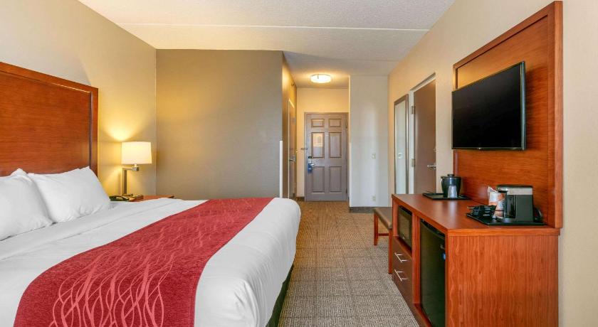 Comfort Inn & Suites Nashville Franklin Cool Springs