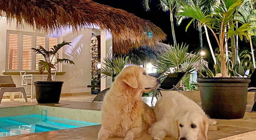Adults-Only Hacienda Terra Taina photo