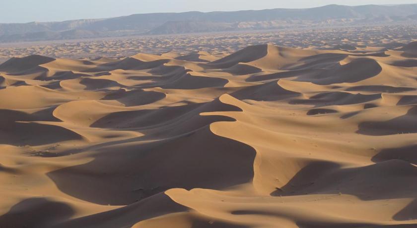 Camp desert nomad tour photo