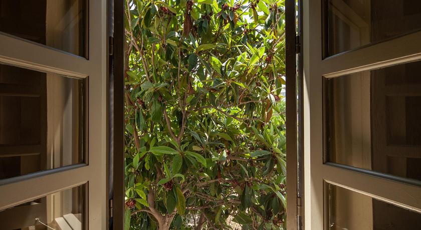 Casa Mespilea photo