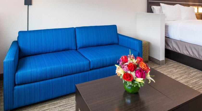 Holiday Inn Express & Suites Tampa North - Wesley Chapel