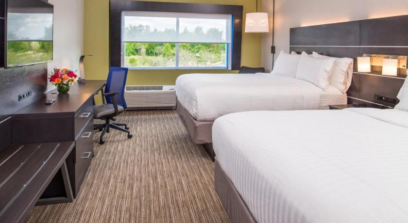 Holiday Inn Express & Suites Tampa North - Wesley Chapel