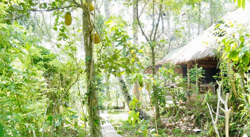 Green Vanilla Bungalow photo