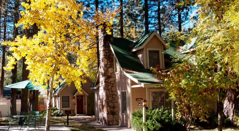 a house that has a tree in front of it, Sleepy Forest Cottages in Big Bear Lake (CA)