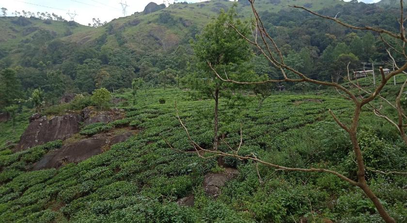 Tea Dale - All rooms with Tea Estate view photo