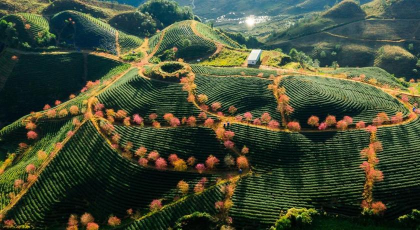 Sapa Dao Homestay photo