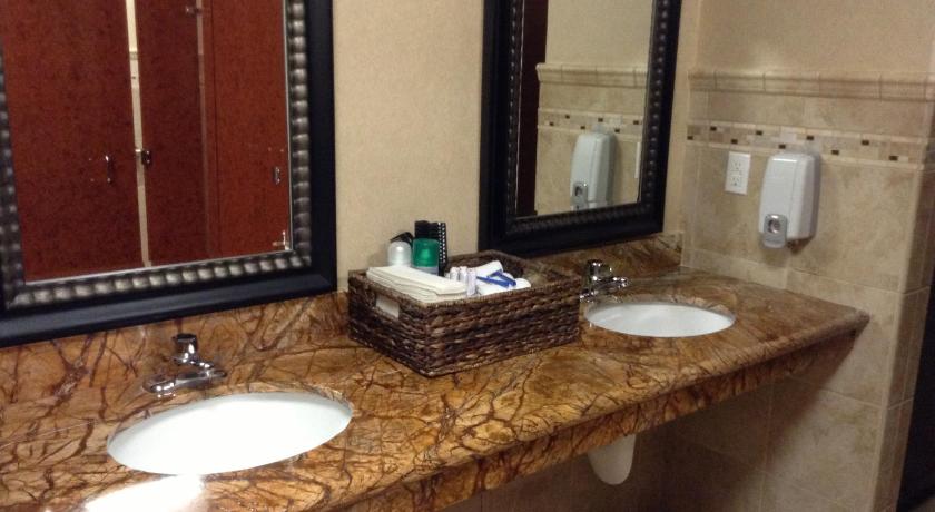 Borrego Springs Resort and Spa photo