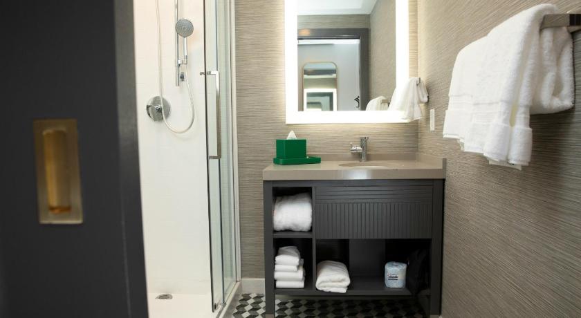 Hotel Indigo St. Louis - Downtown