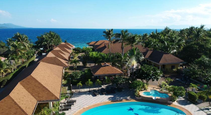 a beach with palm trees and palm trees, Turtle Bay Dive Resort in Cebu