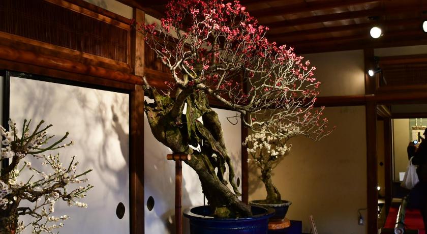 京都 Cozyhouse 211 free wifi a rented electric bicycle 3つ星 宿泊施設 プール