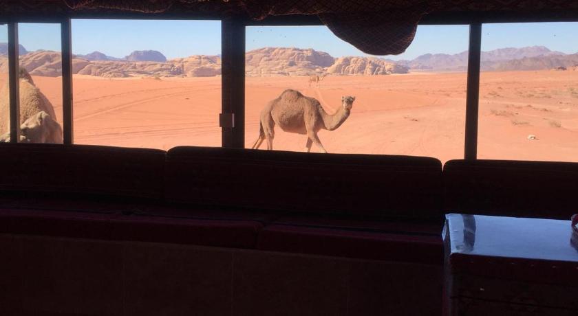 Wadi Rum Desert Adventures photo