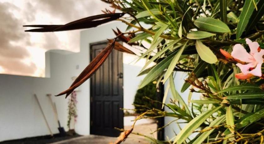 B&B La Mimosa photo