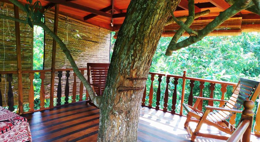 Tree House-Midigama photo