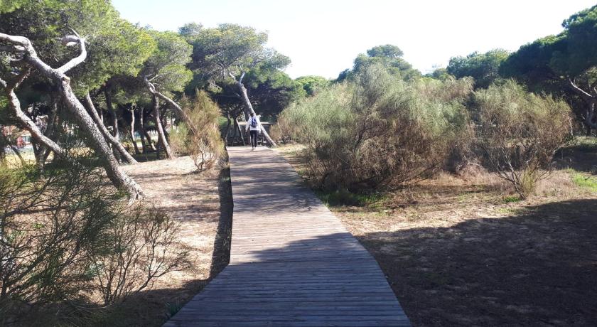 ACOGEDOR APARTAMENTO A 100 M. DE PINARES Y PLAYA photo