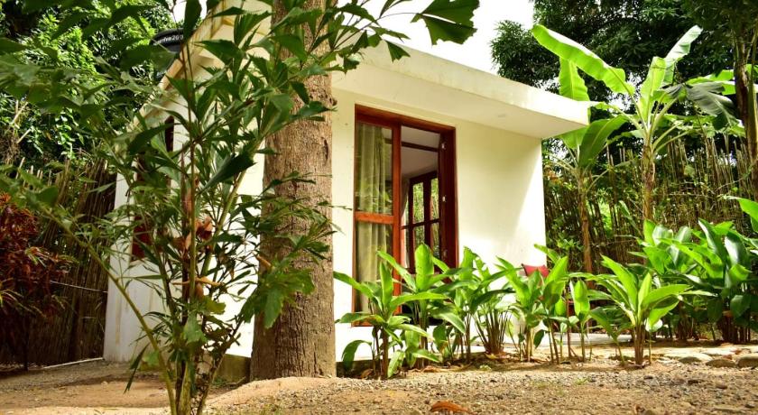 Casa Silvestre — Hotel in Palomino
